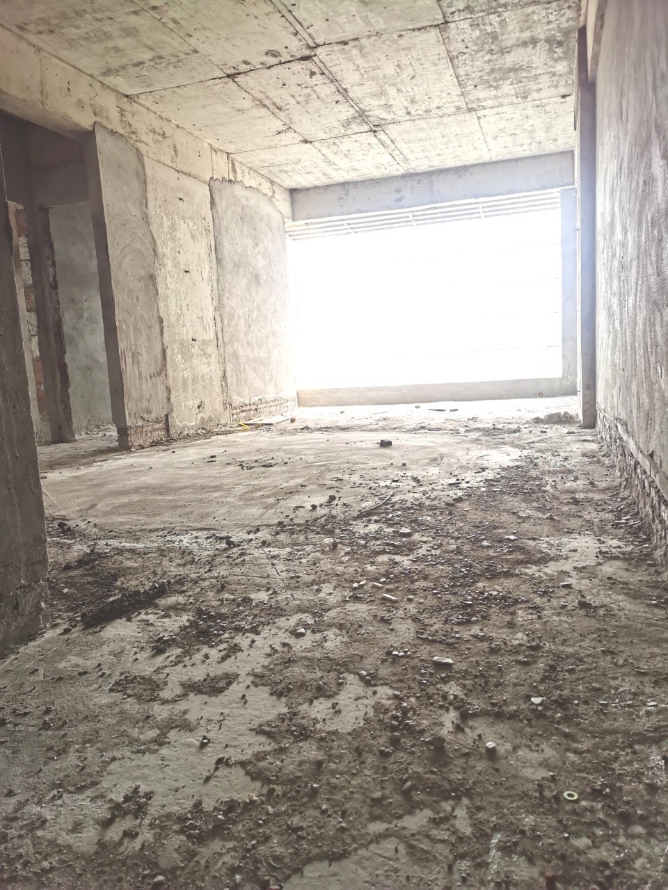 1657093515931931.jpg 8.jpg