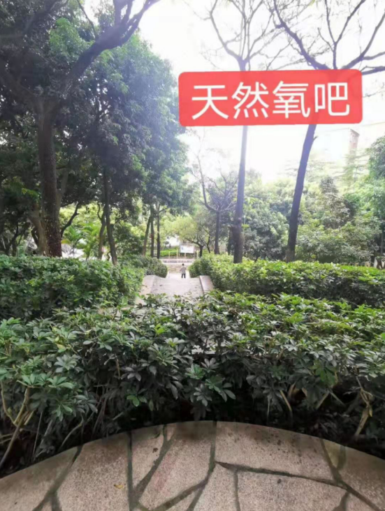 1609204668667205.png