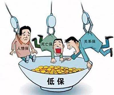確?；剡w分配全過程在陽光下操作
